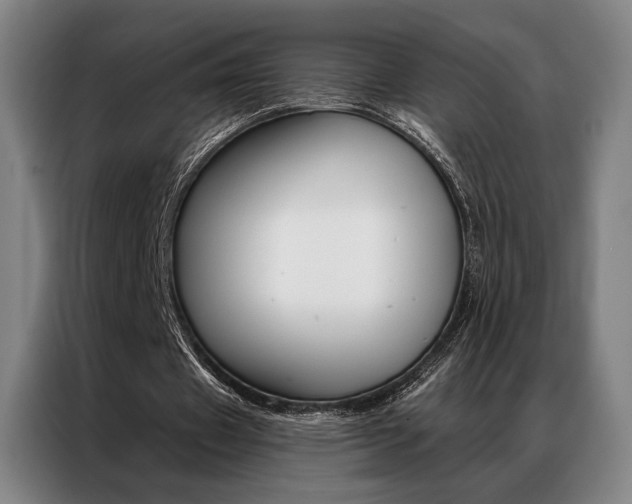 X0000087350433200704200807