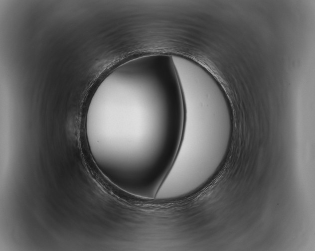 X0000087350434200704200807