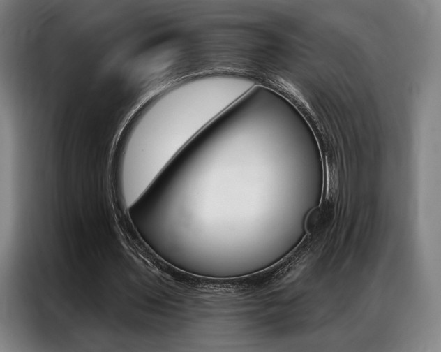 X0000087350435200704200808