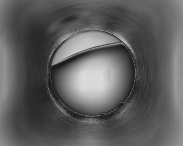 X0000087350437200704200808