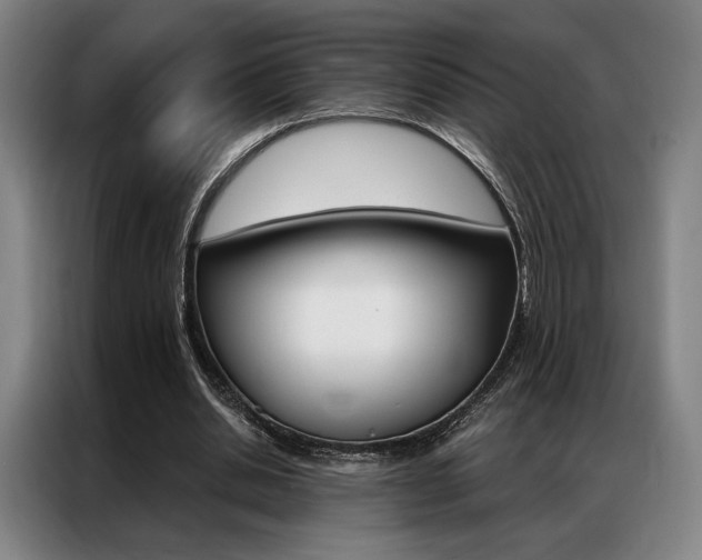 X0000087350438200704200808