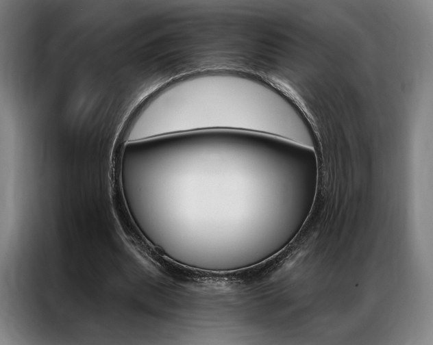 X0000087350439200704200808