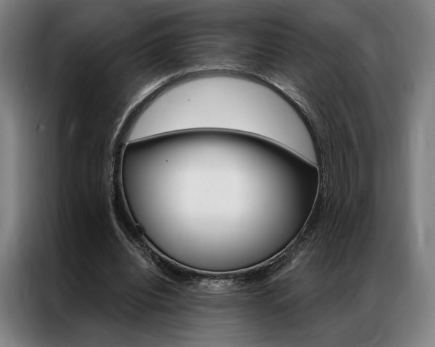 X0000087350440200704200808