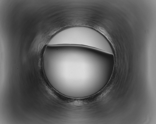 X0000087350441200704200808