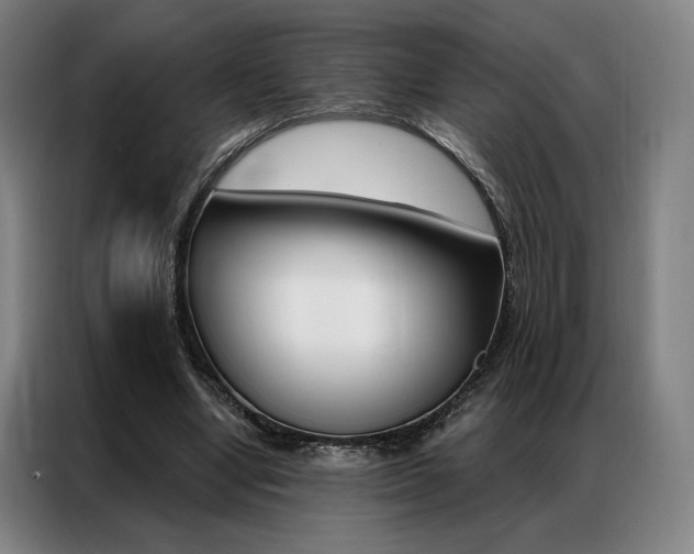 X0000087350442200704200808