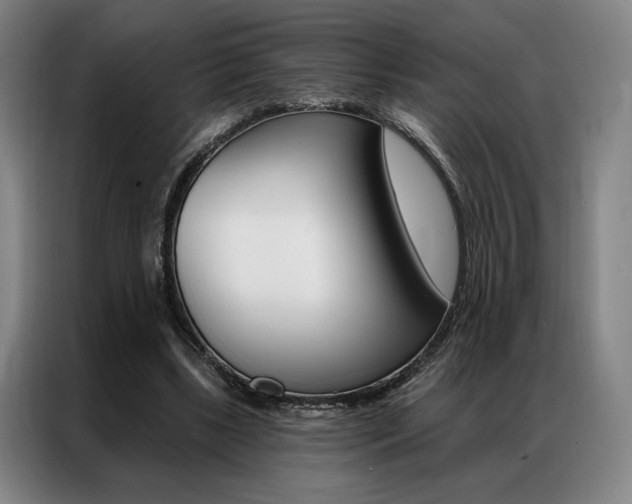 X0000087350443200704200808