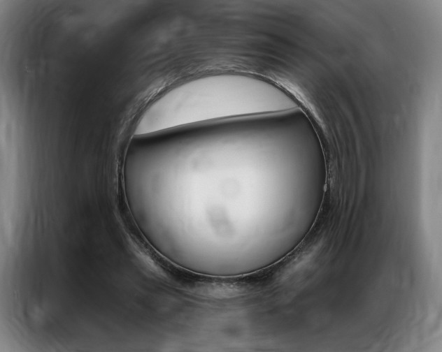 X0000087350445200704200808