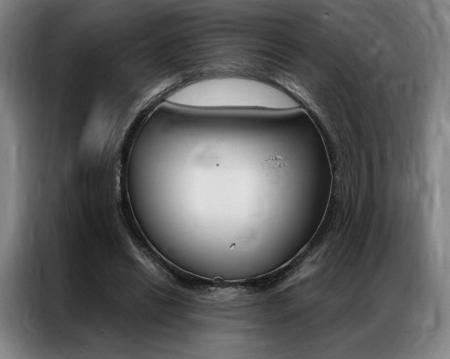 X0000087350446200704200808