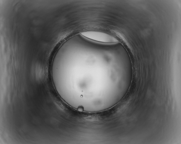 X0000087350447200704200808