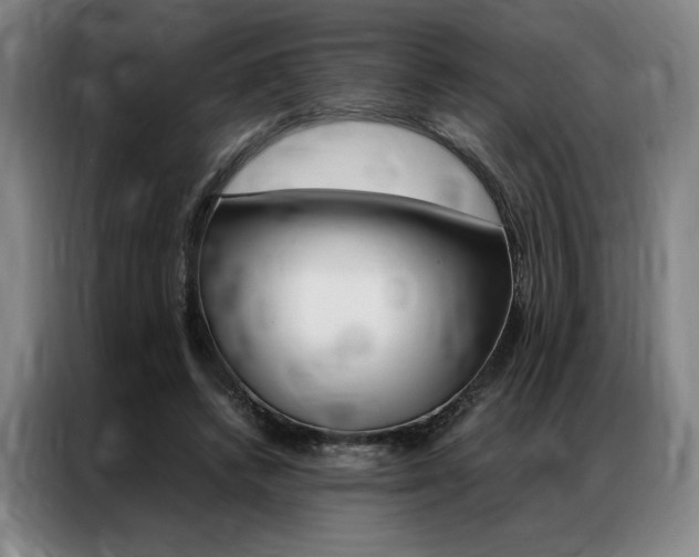 X0000087350448200704200808