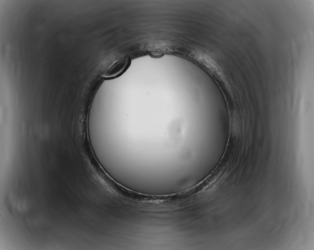 X0000087350449200704200808