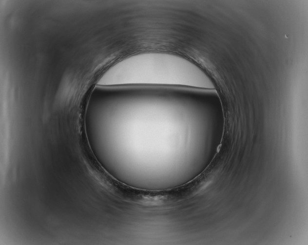 X0000087350450200704200808
