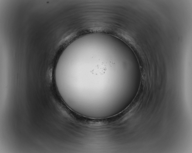 X0000087350454200704200808