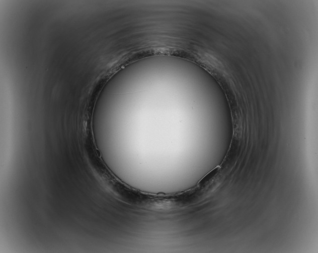 X0000087350456200704200808