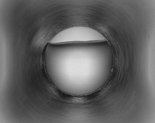X0000087350457200704200808