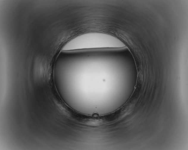 X0000087350458200704200808