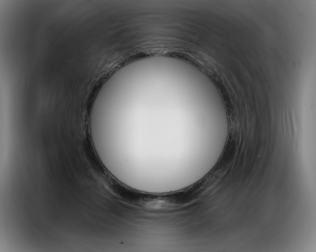 X0000087350460200704200808