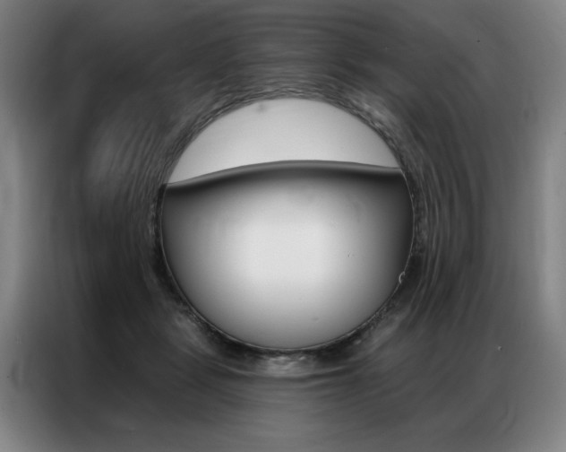 X0000087350461200704200808
