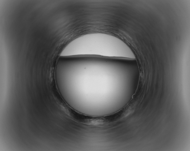 X0000087350462200704200808