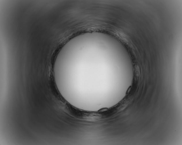 X0000087350463200704200808