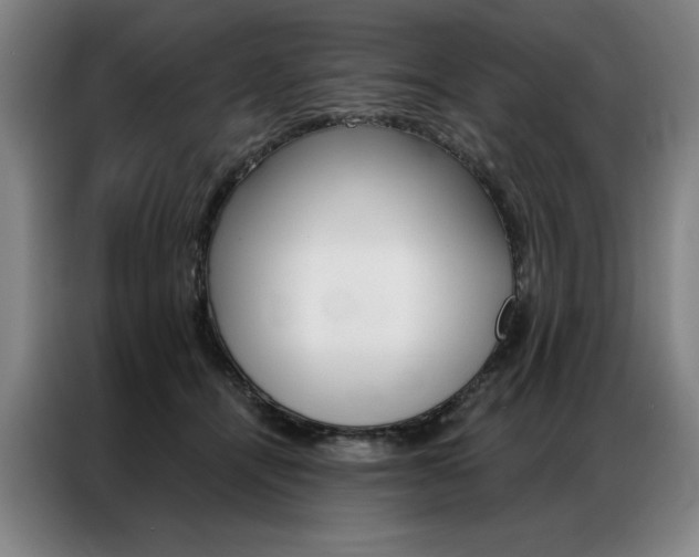 X0000087350464200704200808