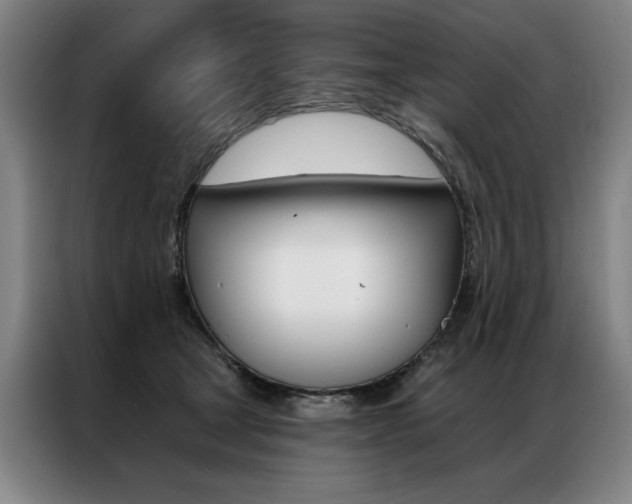 X0000087350465200704200808