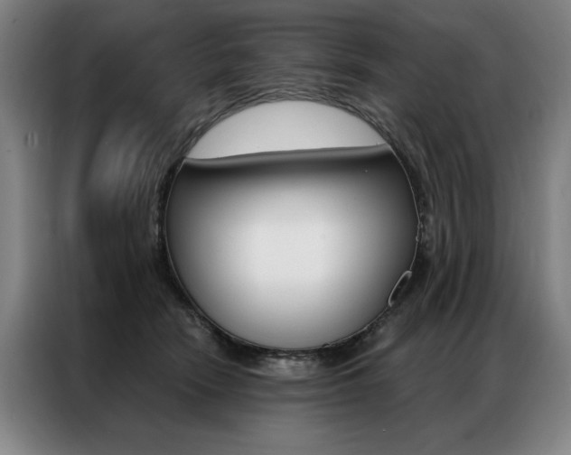 X0000087350466200704200808