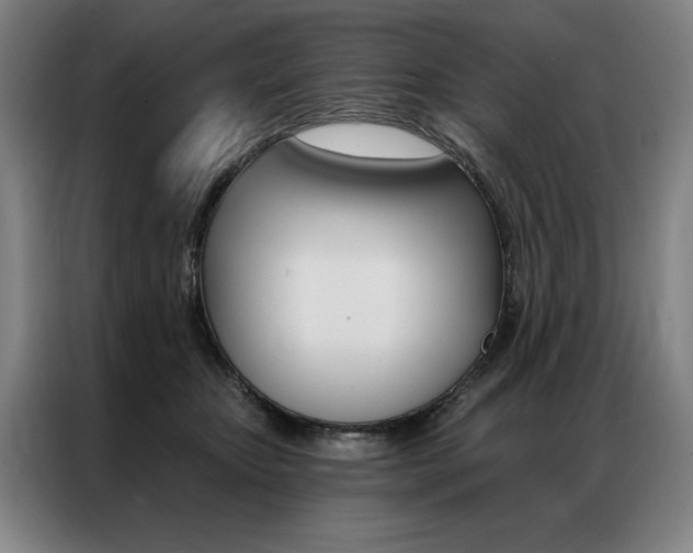 X0000087350467200704200808