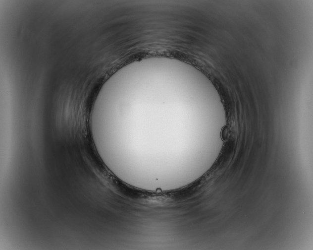 X0000087350468200704200808
