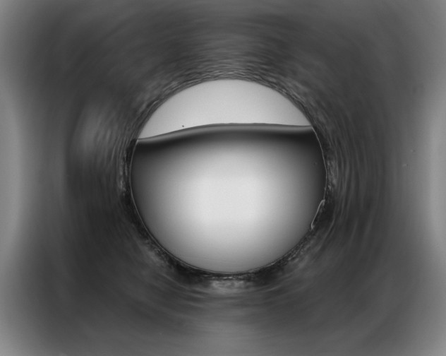 X0000087350470200704200808