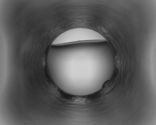 X0000087350471200704200808