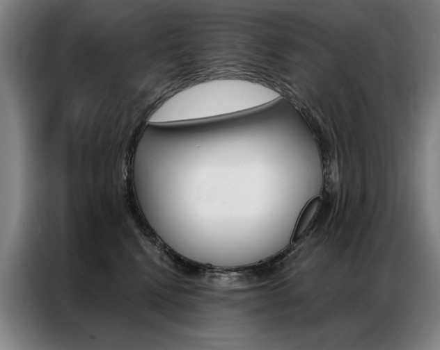 X0000087350472200704200808
