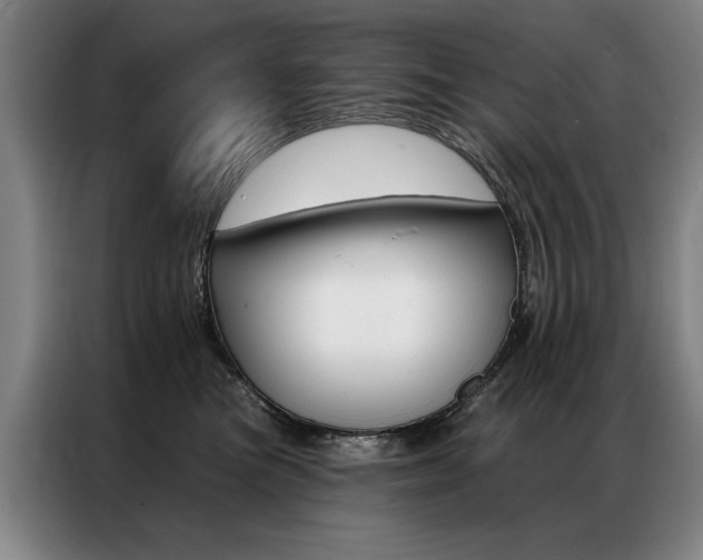 X0000087350473200704200808