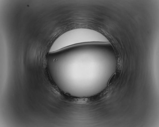 X0000087350474200704200808