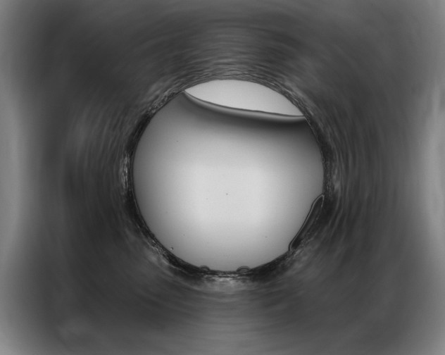 X0000087350475200704200808