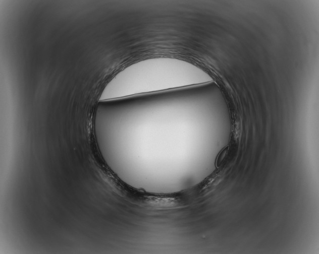 X0000087350476200704200808