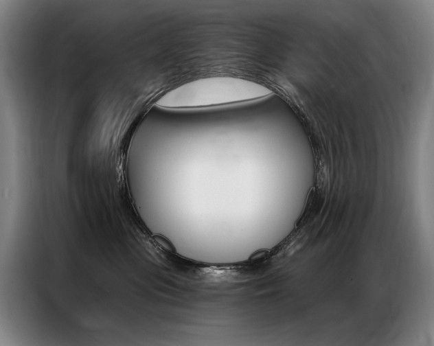 X0000087350477200704200808
