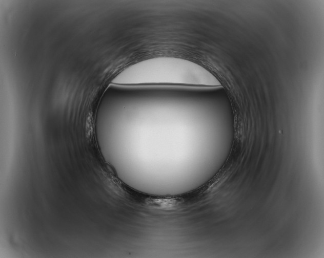 X0000087350478200704200808