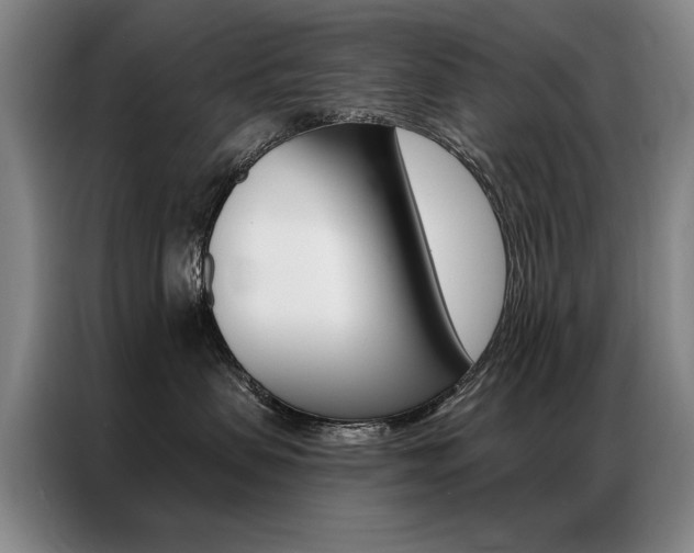 X0000087350479200704200808