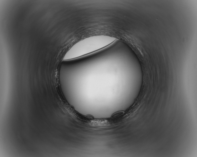 X0000087350480200704200808