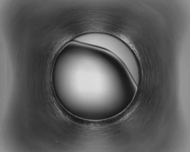 X0000087350481200704200807
