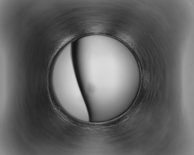 X0000087350482200704200807
