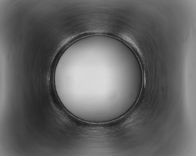 X0000087350483200704200807
