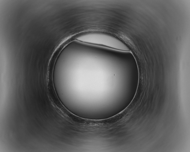 X0000087350484200704200807