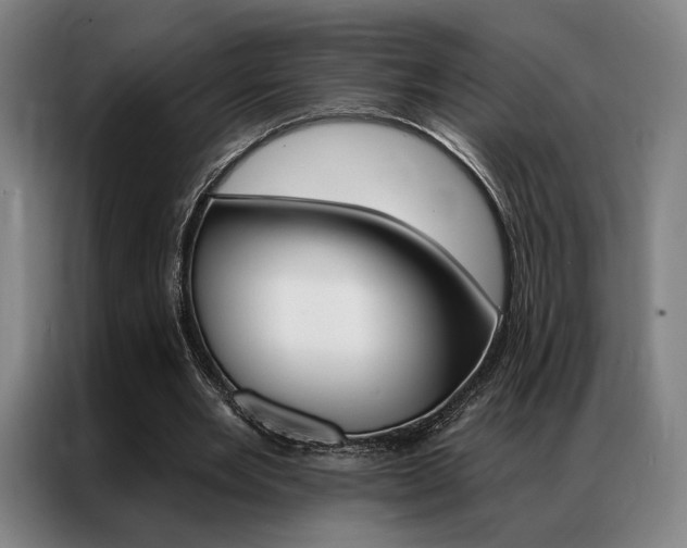 X0000087350485200704200807