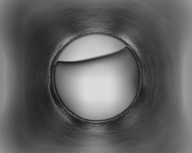 X0000087350486200704200807