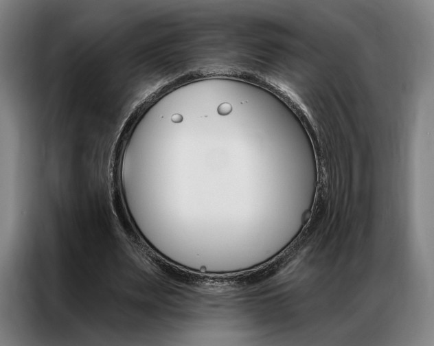 X0000087350487200704200807