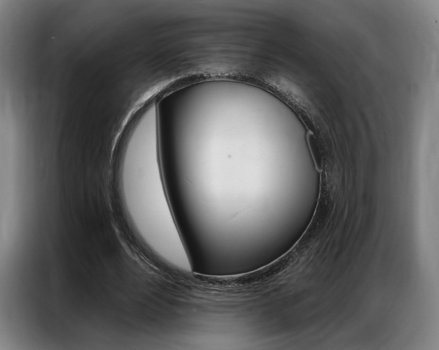 X0000087350488200704200807