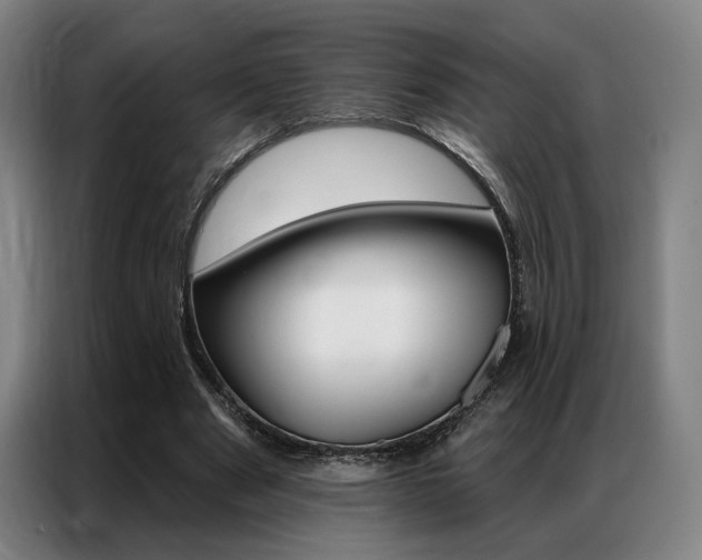 X0000087350489200704200807