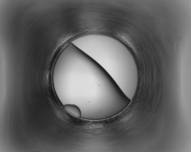 X0000087350491200704200807